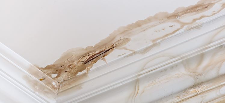 Roof Leak